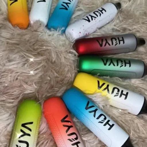 cropped 微信图片 20240706140337