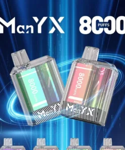 manyix8000